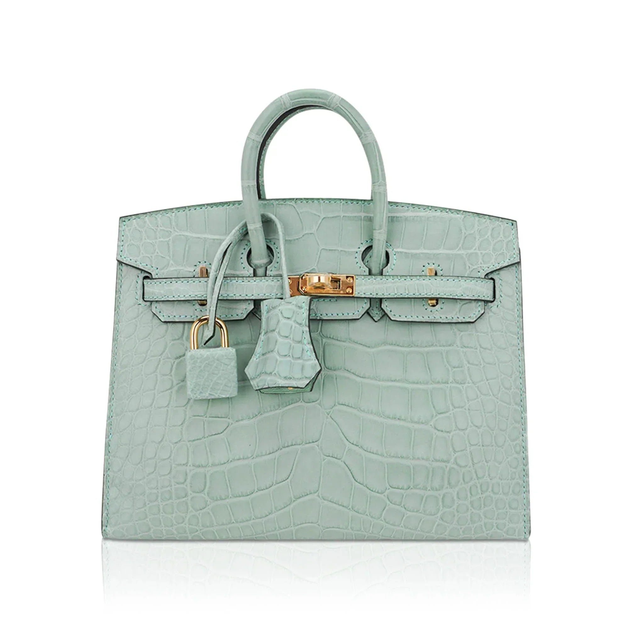 👜Limited Edition Birkin 20 Sellier Bag Vert D’Eau Matte Alligator with Gold Hardware