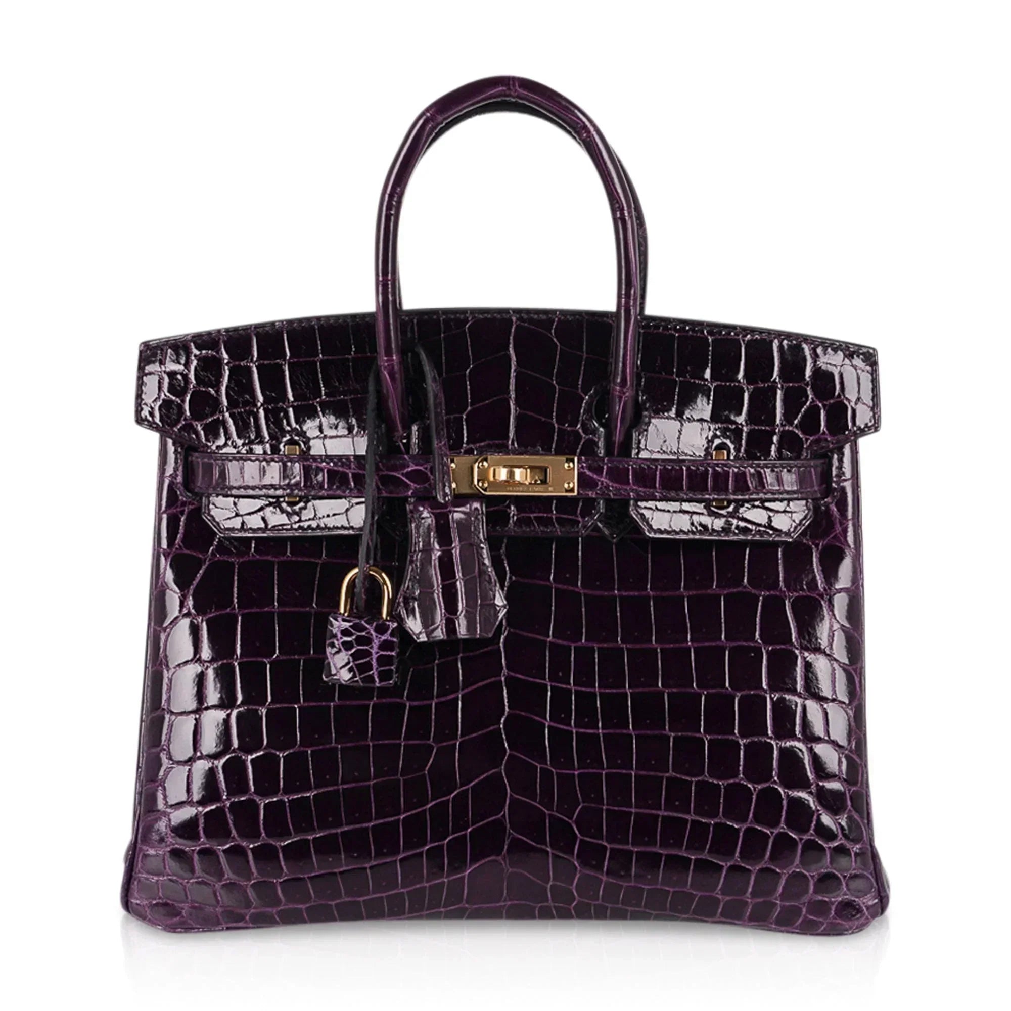 👜Birkin 25 Bag Aubergine Niloticus Crocodile with Gold Hardware