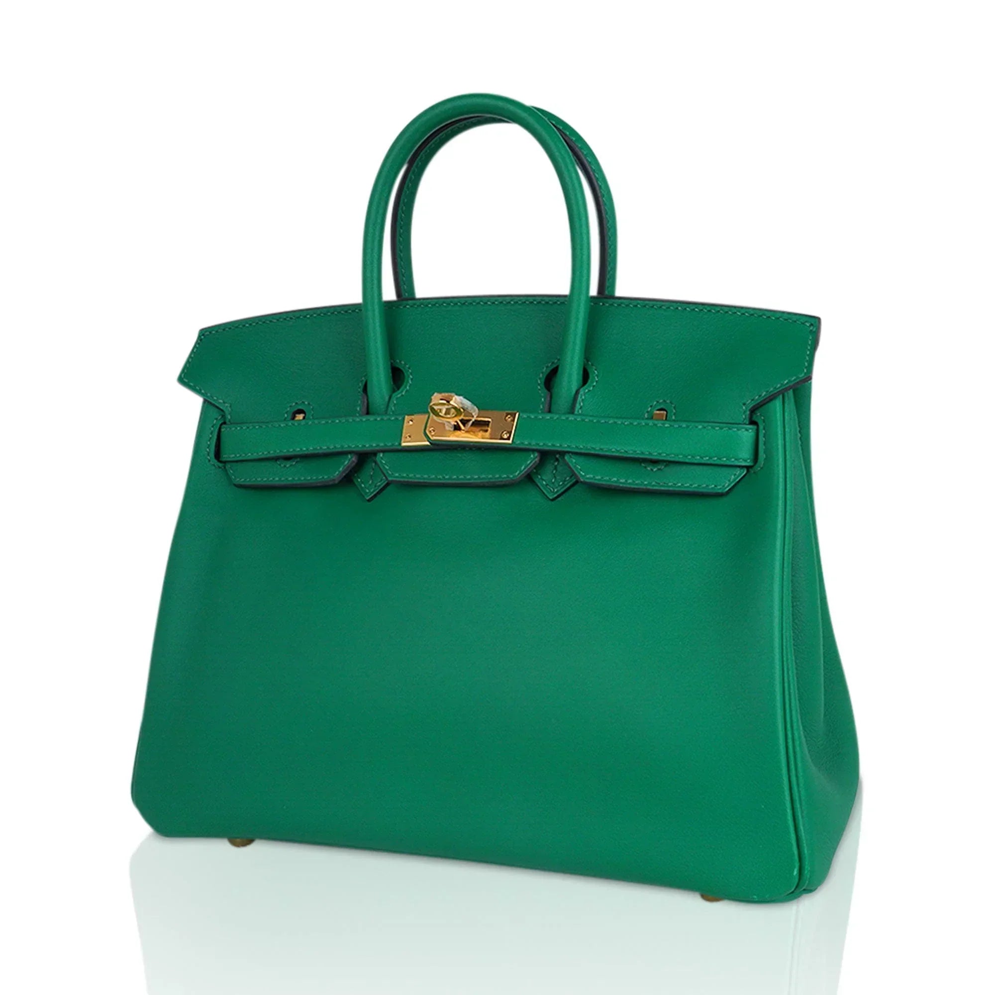 👜Birkin 25 Bag in Cactus Swift Leather with Gold Hardware