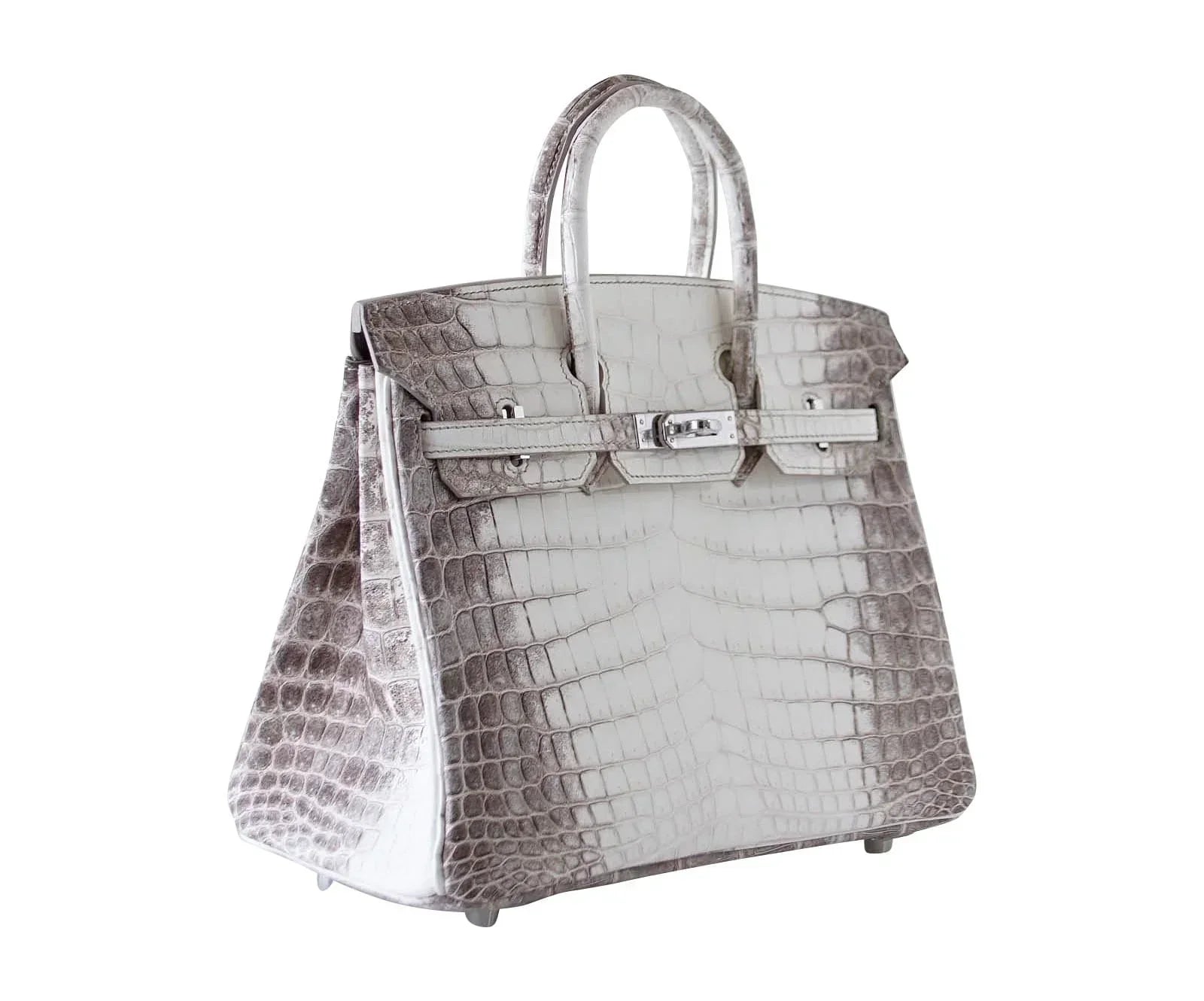 👜Birkin 25 Bag Blanc Himalaya Exquisite Jewel Palladium Hardware