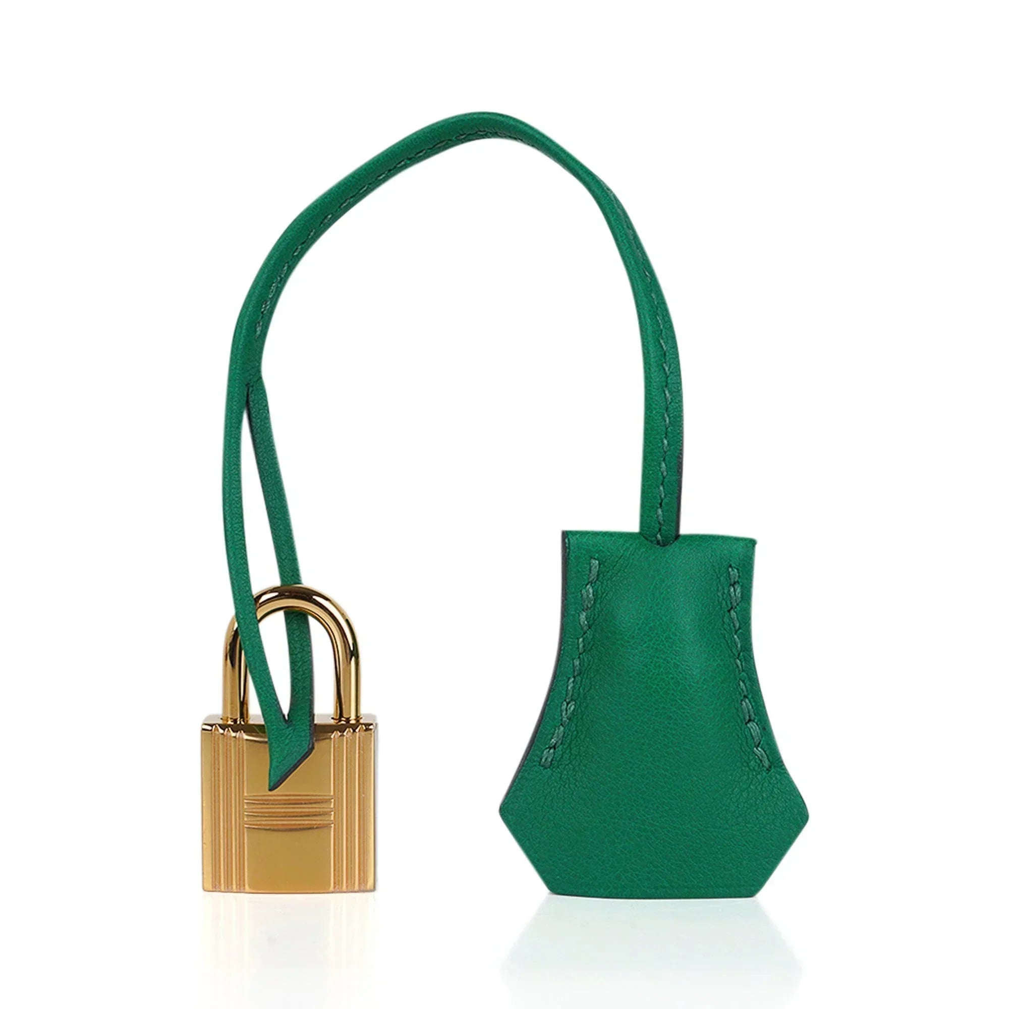 👜Birkin 25 Bag in Cactus Swift Leather with Gold Hardware