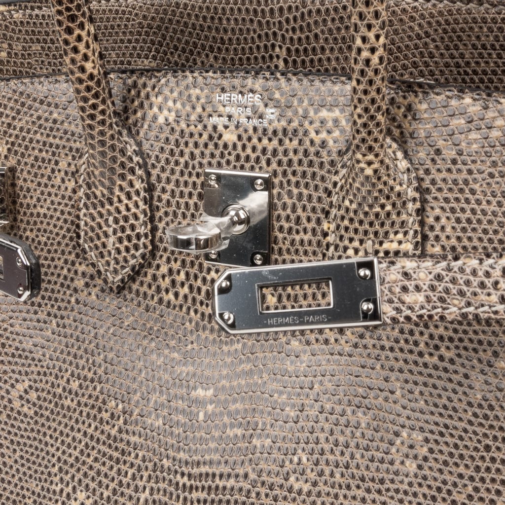 👜Birkin 25 Bag Ombre Lizard Palladium Hardware Holy Grail Bag