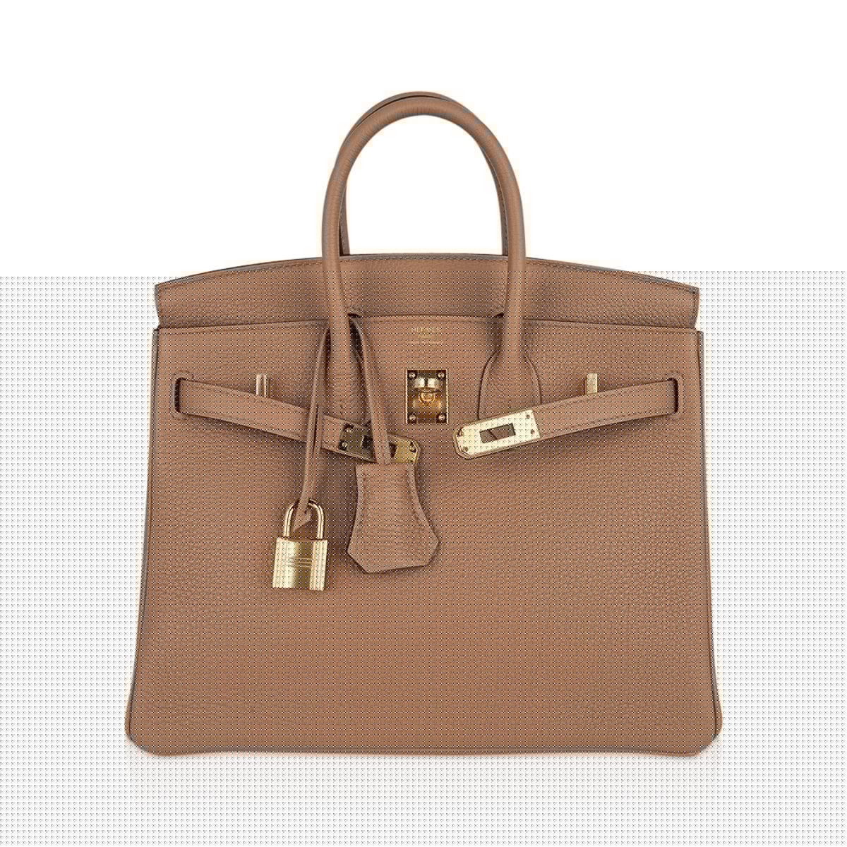 👜Birkin 25 Bag in Chai Togo Leather with Gold Hardware