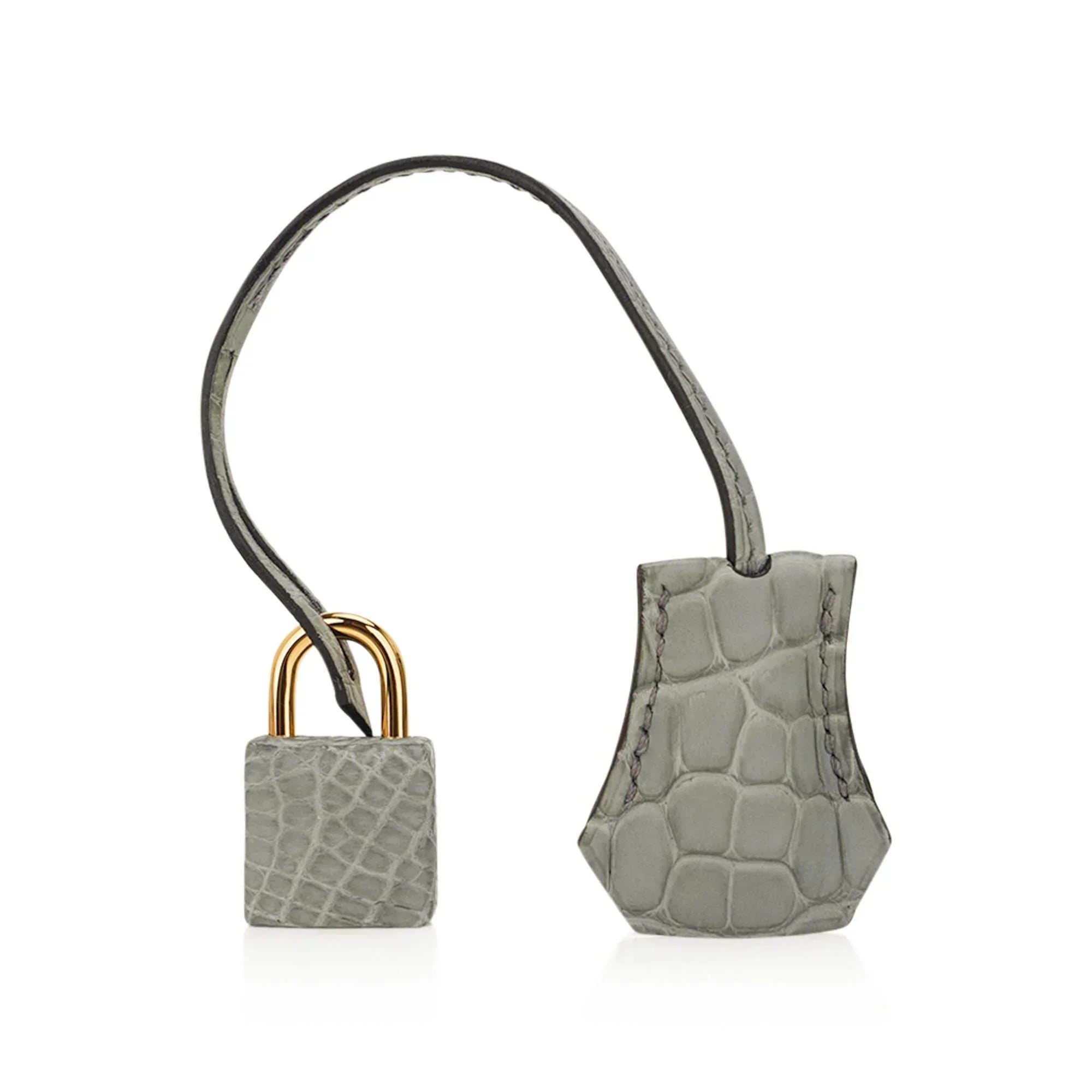 👜Birkin 25 Bag Gris Ciment Matte Alligator with Gold Hardware