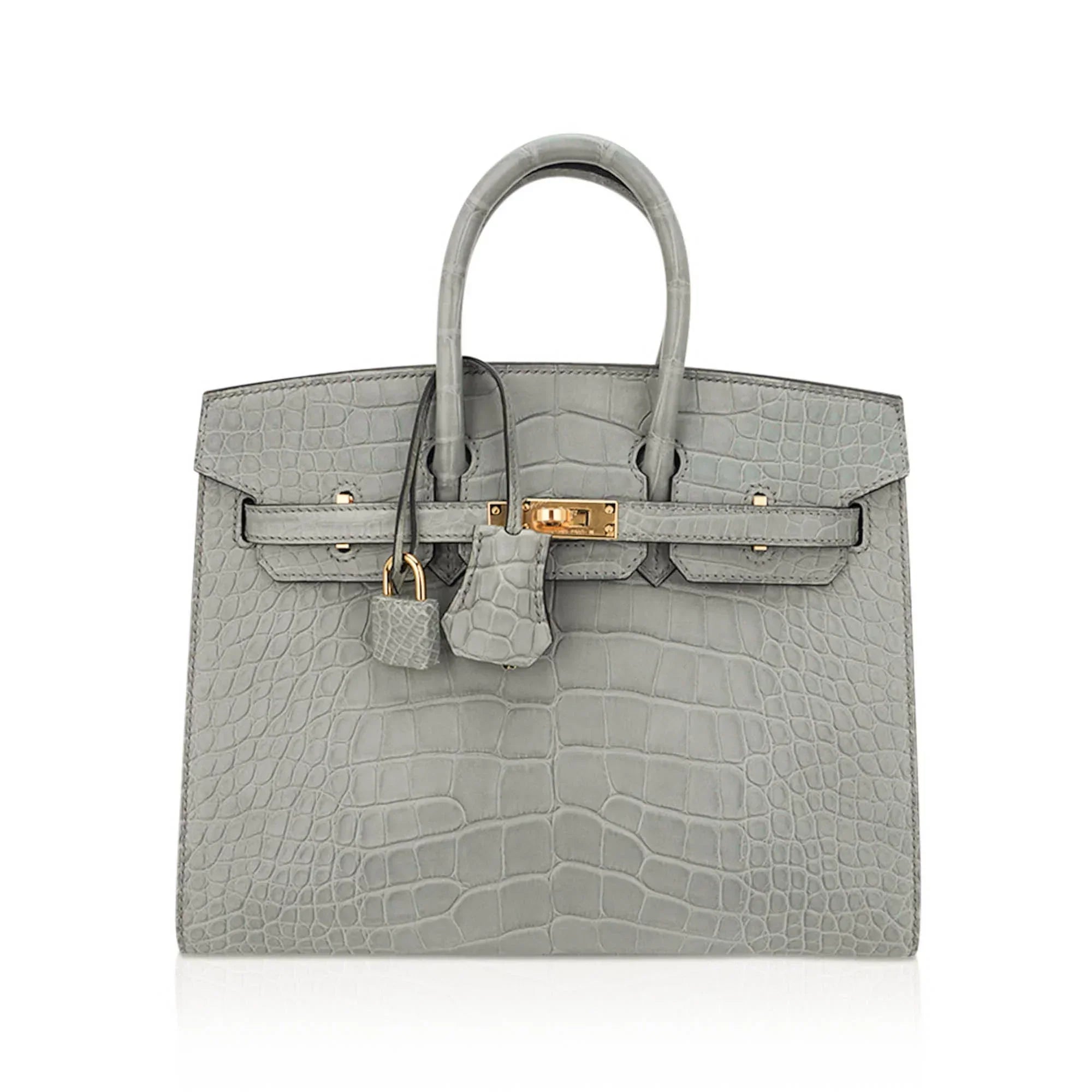 👜Birkin 25 Bag Gris Ciment Matte Alligator with Gold Hardware