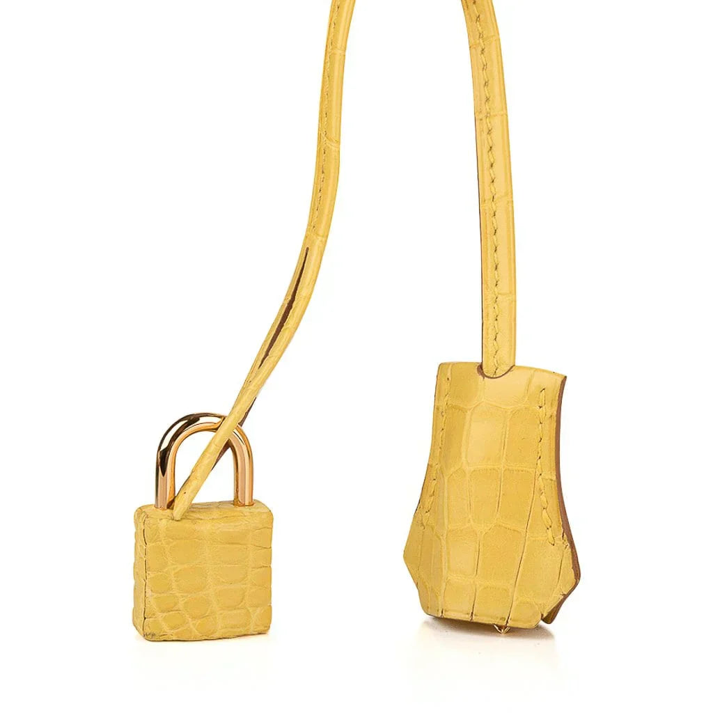 👜Birkin 30 Bag Mimosa Matte Alligator Gold Hardware