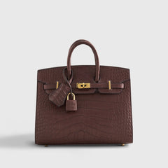 Birkin 20 Alligator Havane Gold Hardware Matte