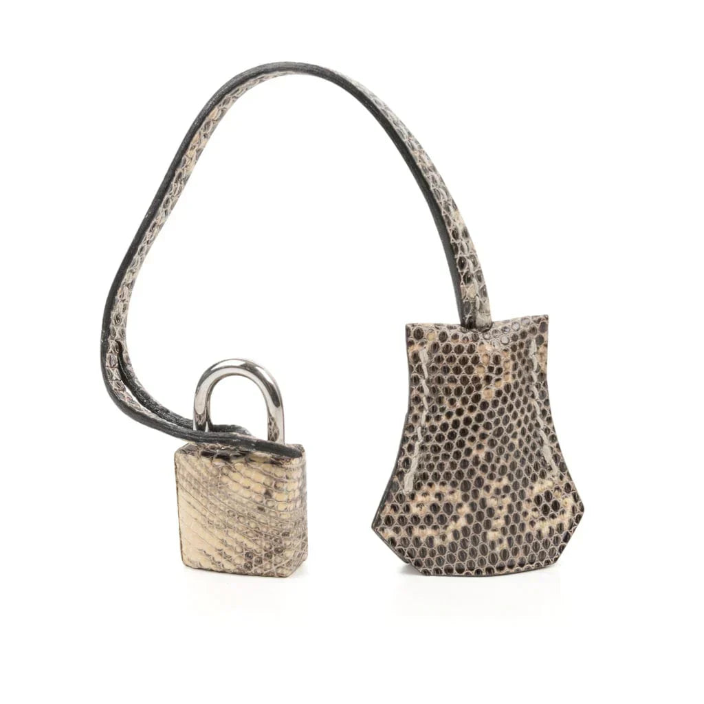 👜Birkin 25 Bag Ombre Lizard Palladium Hardware Holy Grail Bag