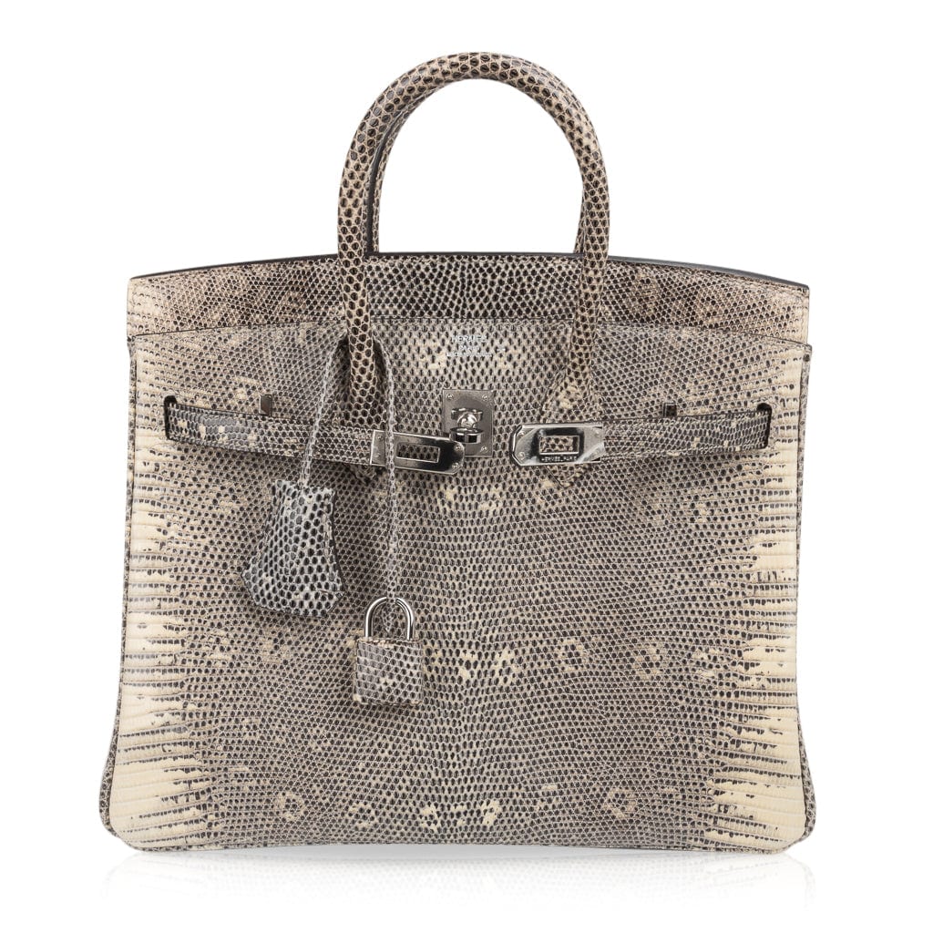 👜Birkin 25 Bag Ombre Lizard Palladium Hardware Holy Grail Bag