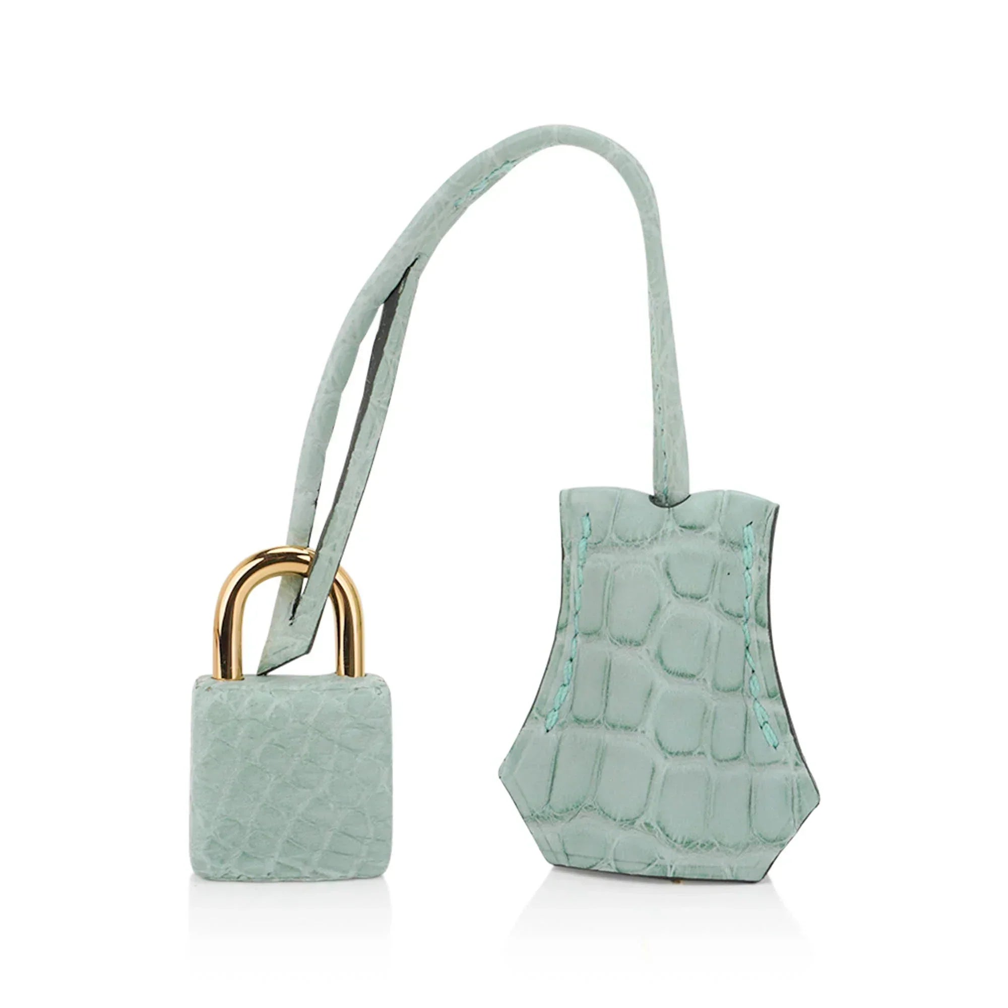 👜Limited Edition Birkin 20 Sellier Bag Vert D’Eau Matte Alligator with Gold Hardware