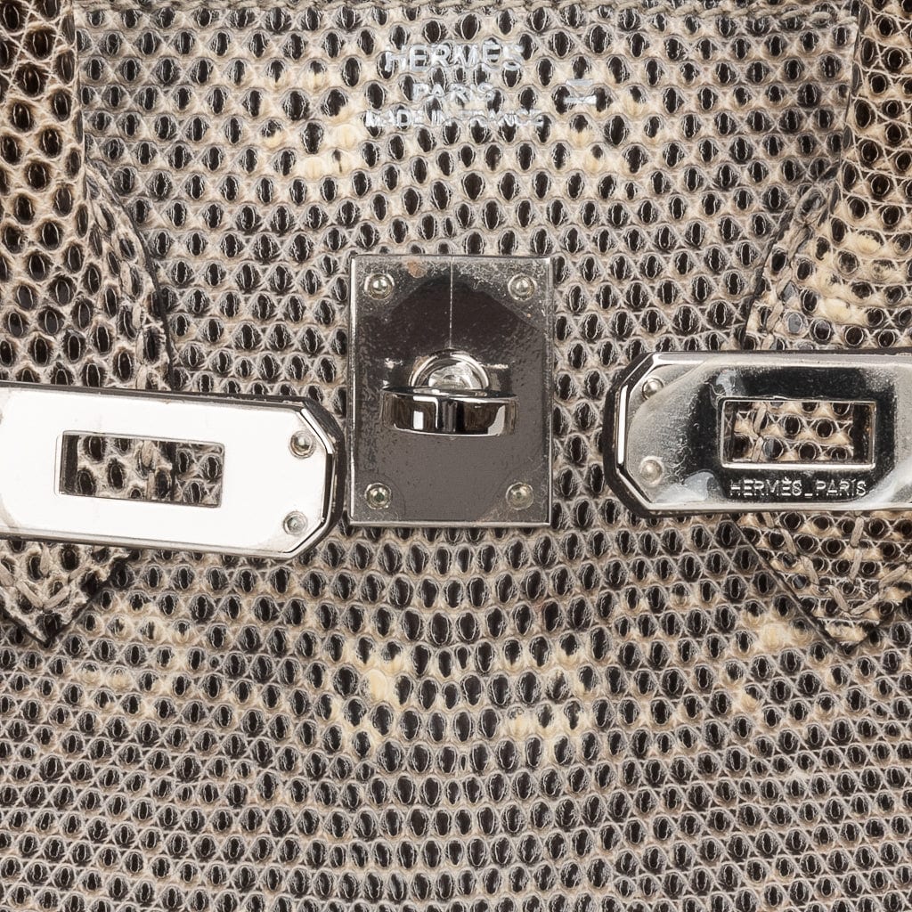 👜Birkin 25 Bag Ombre Lizard Palladium Hardware Holy Grail Bag