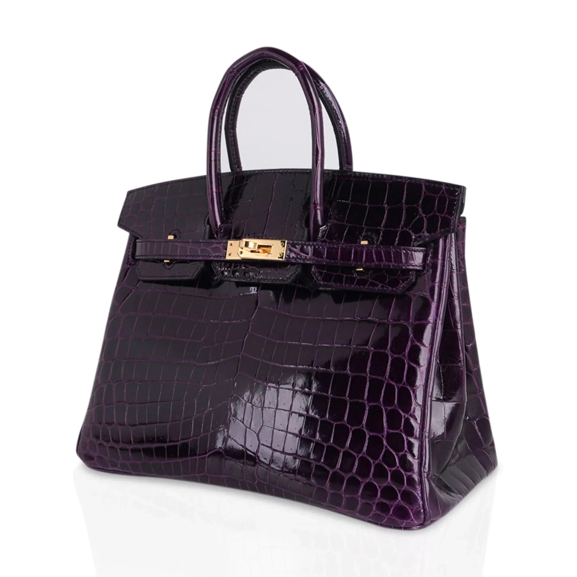 👜Birkin 25 Bag Aubergine Niloticus Crocodile with Gold Hardware
