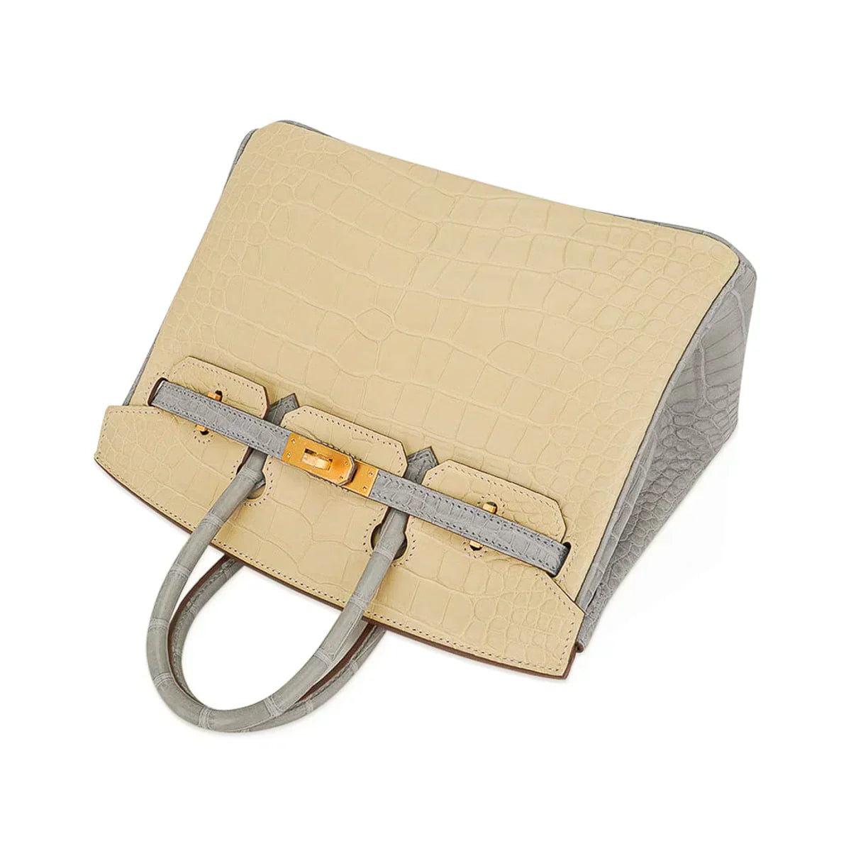 👜Special Order HSS Birkin 25 Bag in Matte Alligator Vanille and Gris Pearl Alligator with Brushed Gold Hardware