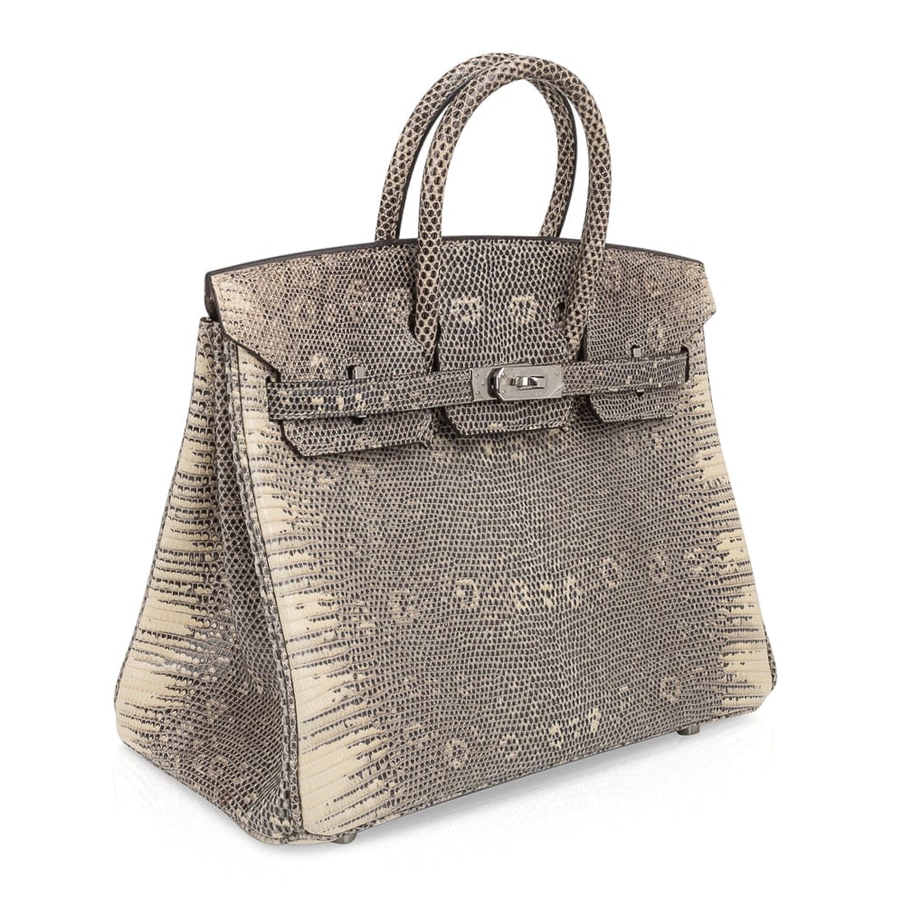 👜Birkin 25 Bag Ombre Lizard Palladium Hardware Holy Grail Bag