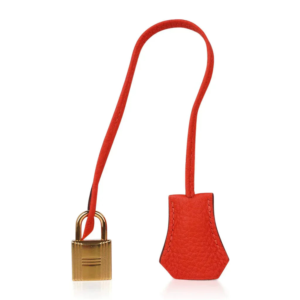 👜Birkin 35 Bag Capucine Togo Leather with Gold Hardware