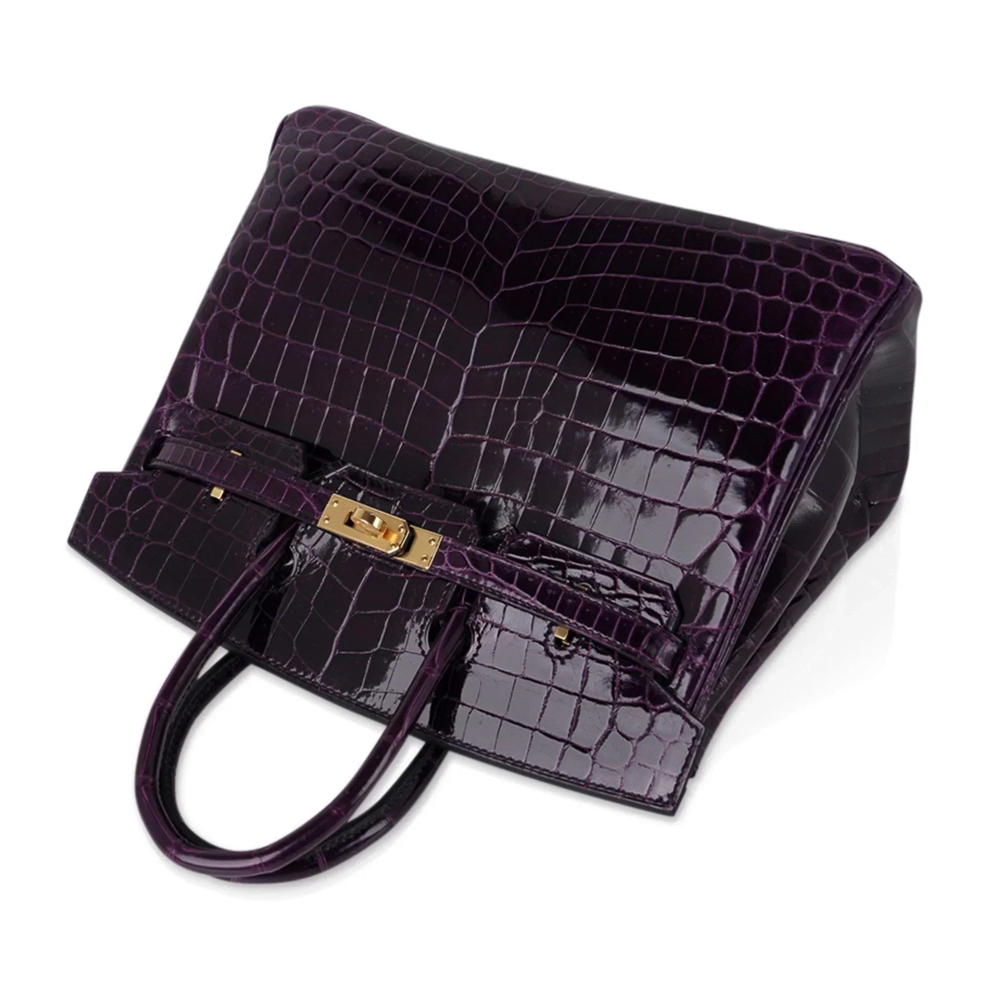 👜Birkin 25 Bag Aubergine Niloticus Crocodile with Gold Hardware